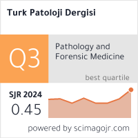 SCImago Journal & Country Rank