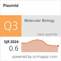 Plasmid