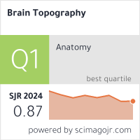 Brain Topography