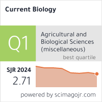 SCImago Journal & Country Rank