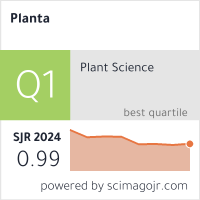 Planta