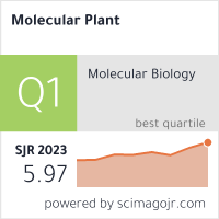 Molecular Plant