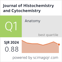 Scimago Journal & Country Rank