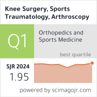 Knee Surgery, Sports Traumatology, Arthroscopy