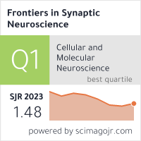 Frontiers in Synaptic Neuroscience
