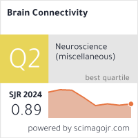 Brain Connectivity