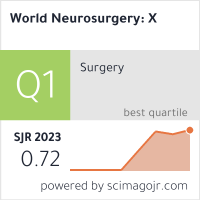World Neurosurgery: X