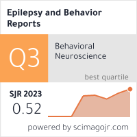 Epilepsy and Behavior Reports