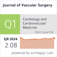 Journal of Vascular Surgery