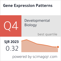 Gene Expression Patterns