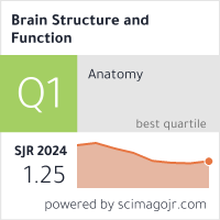 Brain Structure and Function