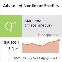 Advanced Nonlinear Studies